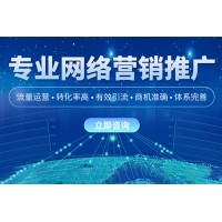 深圳网站关键词优化
