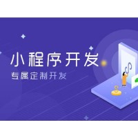 深圳公司小程序开发