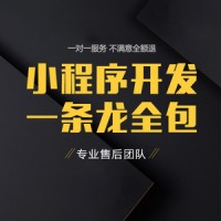 深圳开发小程序的公司