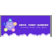 深圳软件开发