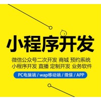 深圳小程序开发公司排行