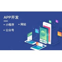 app深圳开发