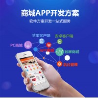深圳app程序开发