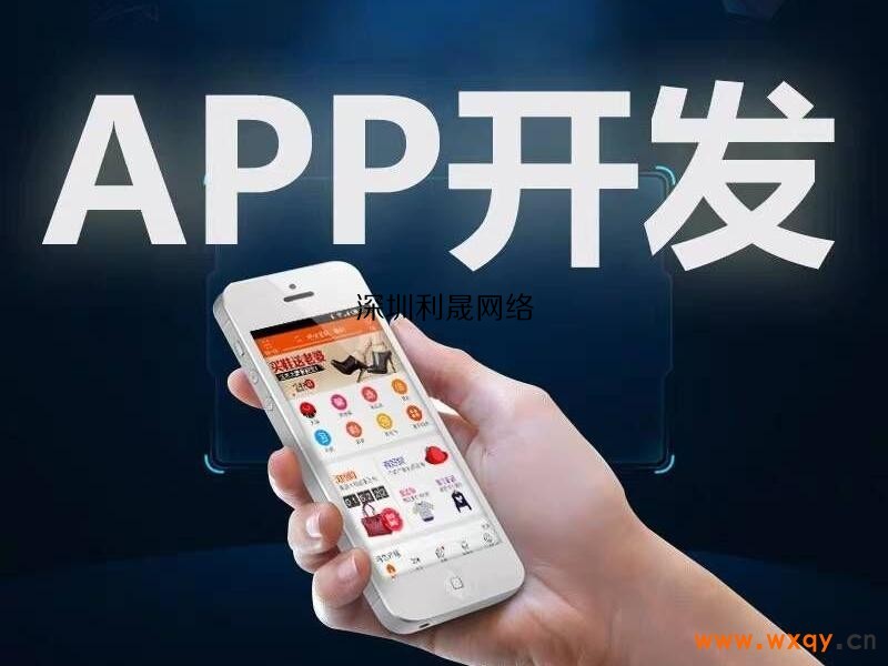 app深圳开发